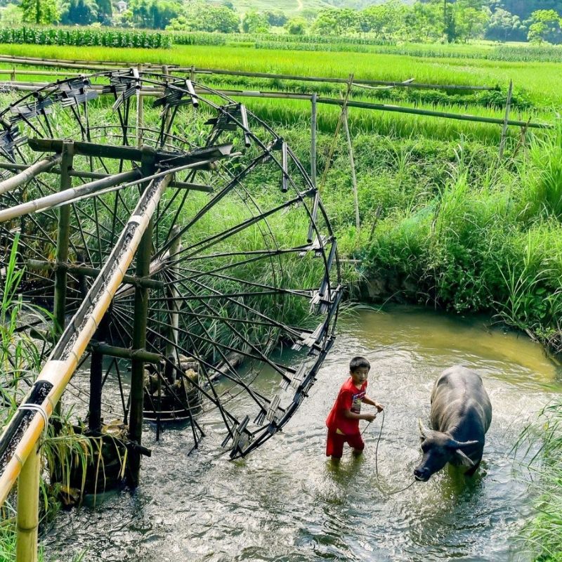 Pu Luong Leisure Tour Water Wheels, Bamboo Rafting Thai Ethnic Culture (2 Days 1 Night) (3) Pu Luong Leisure Tour Water Wheels, Bamboo Rafting & Thai Ethnic Culture (2 Days 1 Night)