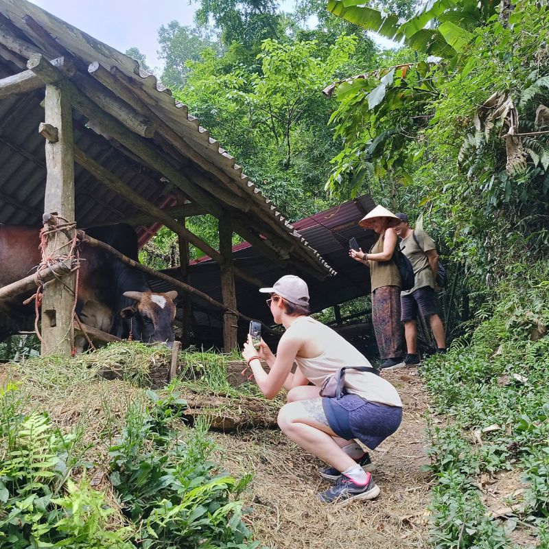 Pu Luong Trekking Tour with Villages, Caves Bamboo Rafting ( 2 Day 1Night ) (7) Pu Luong Trekking Tour with Villages, Caves & Bamboo Rafting ( 2 Day 1Night )